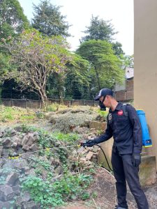 Jasa Anti Rayap Cawang